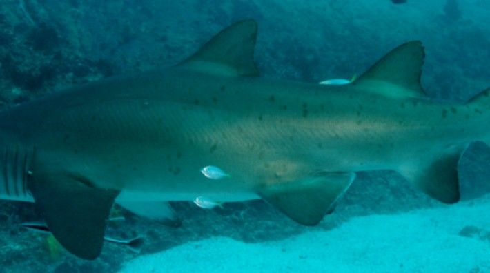 97d381cd-b66f-42d5-a7a6-0dbe38a966f2