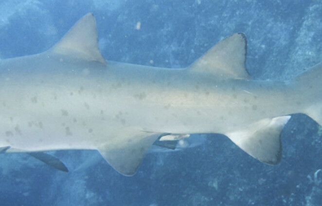 345f3051-a19c-42cd-b562-04293bb6c672