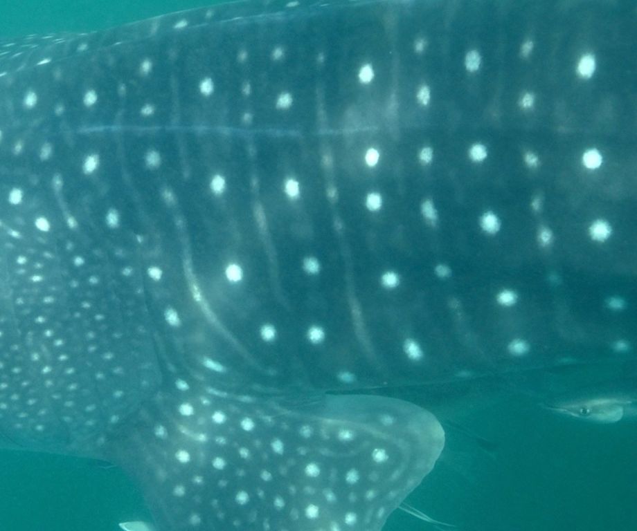 1195607a-7321-4768-a325-de5f413e3f0a