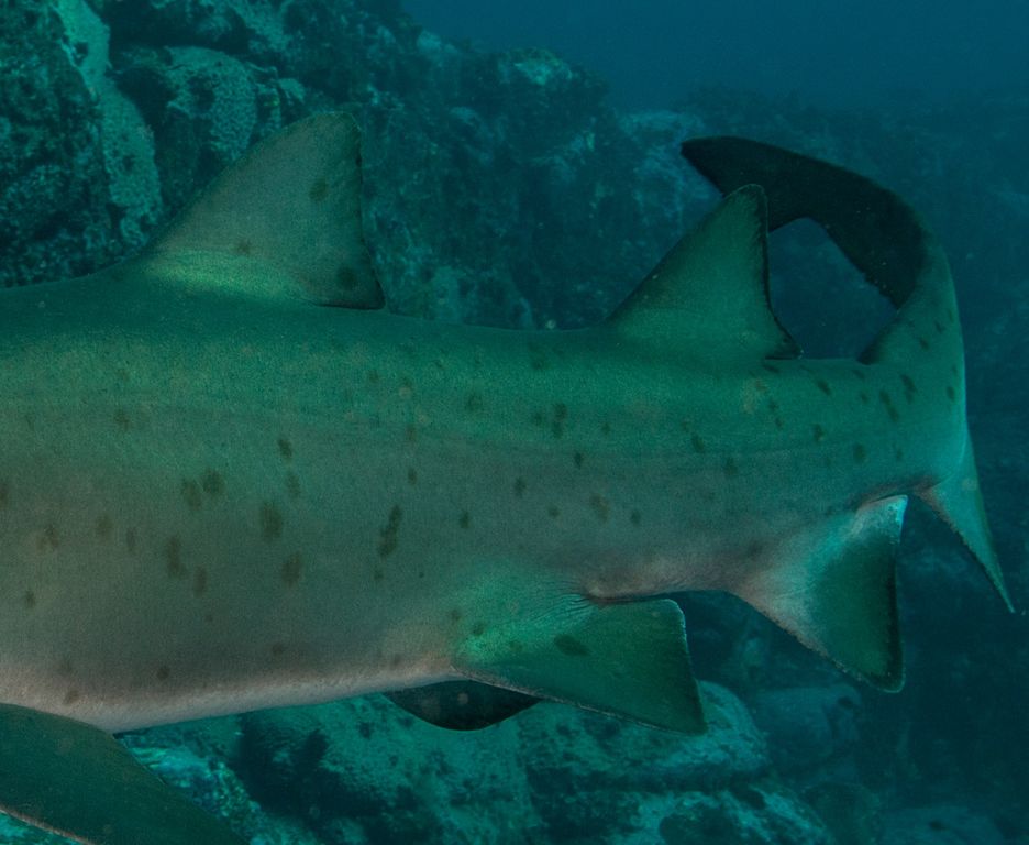 ecf537e7-959d-4136-bd07-1ba21cca6a49