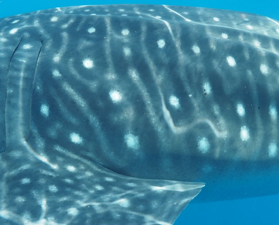 dbd0f1cd-e412-4605-9ad9-d4bcf4616e45