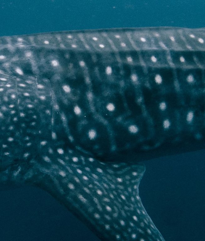 142157e7-2687-4b3d-bc4c-7166ebfd5273