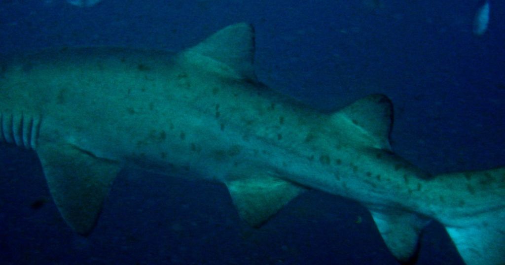 74006316-7bed-4b32-86f7-bc2e05a70c57