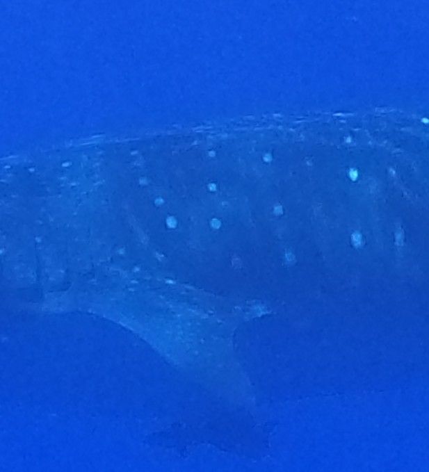 26b65782-0199-4f5b-8d86-42eb87e4621e