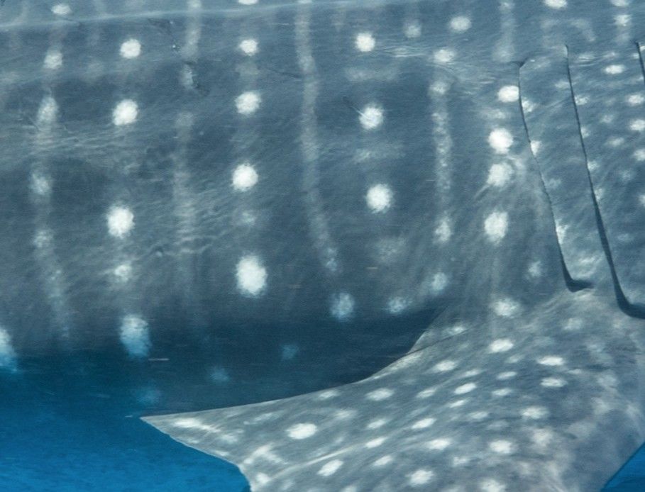 057d7457-9132-4b60-8713-3c6cad0b0630