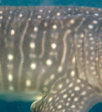 38da85f5-c072-4902-aeb0-7233bc23952b