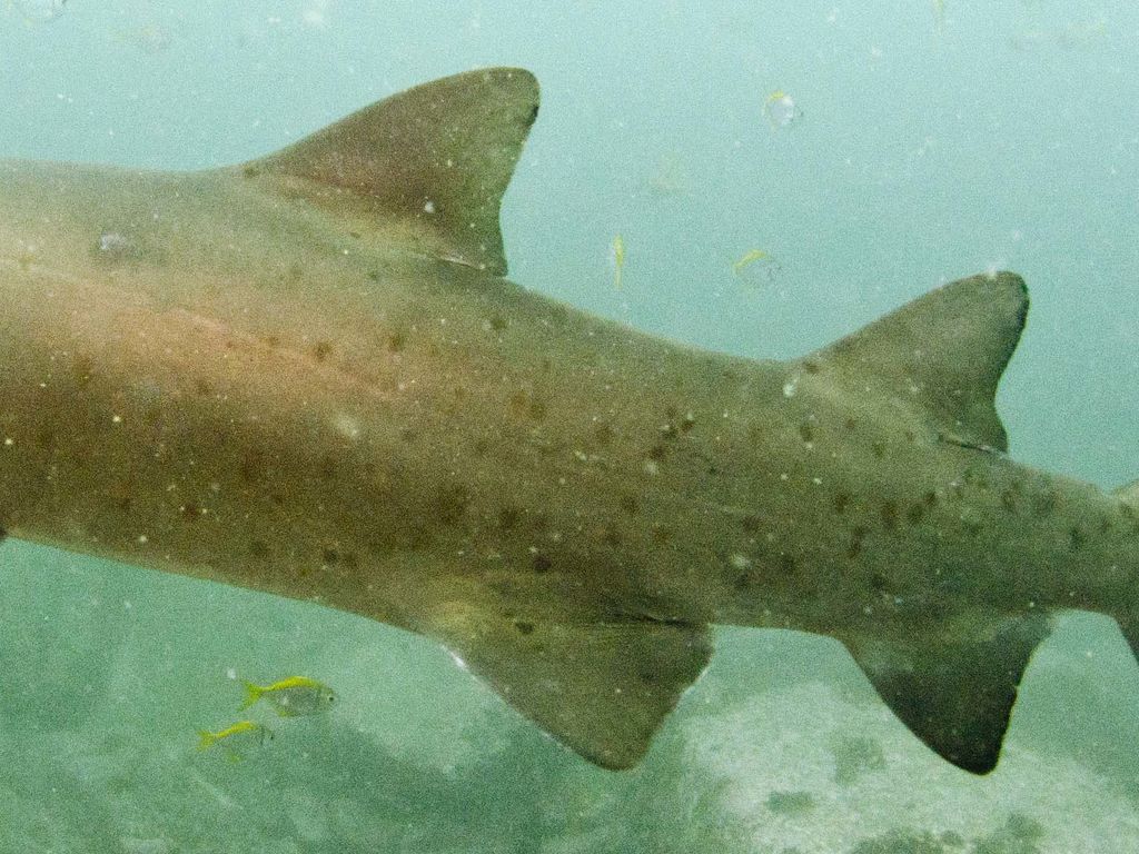 aaa085fc-9552-487e-ad2d-41260cbb1fa2