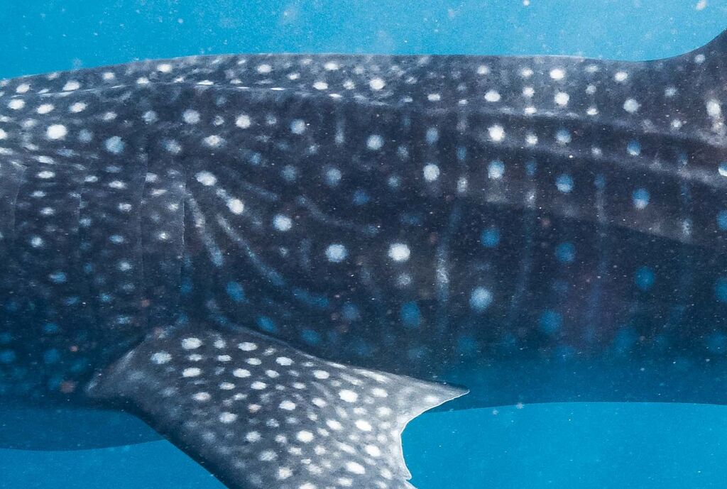 77bc49d4-3672-468b-9439-d0bb13623dd6