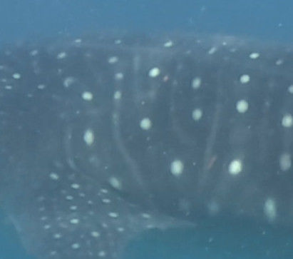 6f6467fc-3109-4d83-9591-d332415106b2