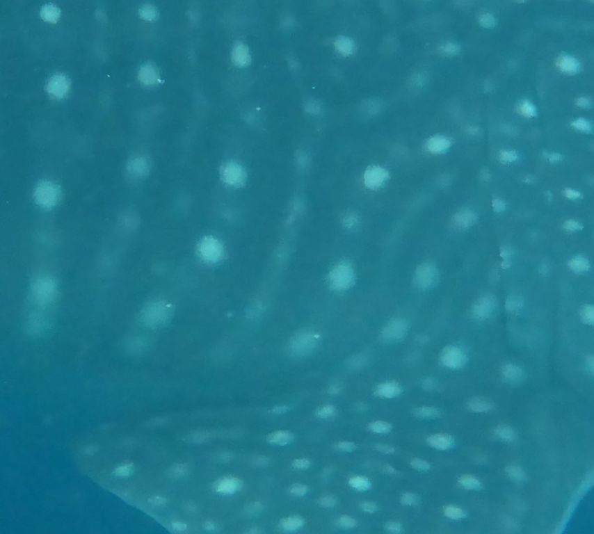 9d85c4ab-efc1-44b6-a803-296574198d4e