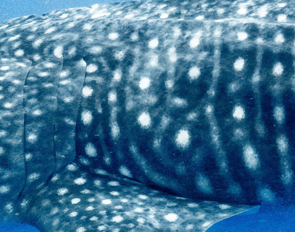 35a5a5d4-f8c9-4046-a928-eae5fb93cff7