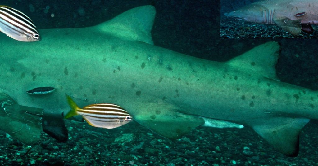 b85884e5-5993-41d6-b0d5-9ae53ad41120