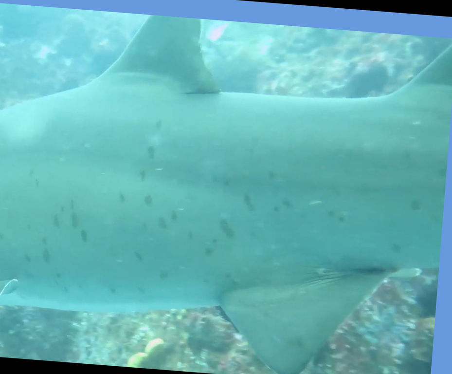 cfb212bc-689b-4915-bbc8-9bd9c252316f