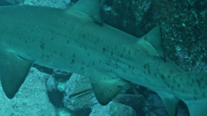 76a3265e-cd90-456f-873d-99e7dbc7d2ca