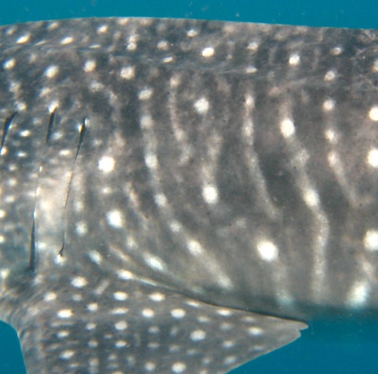 ed566f87-d33d-4c44-8338-6a515c3b2b97