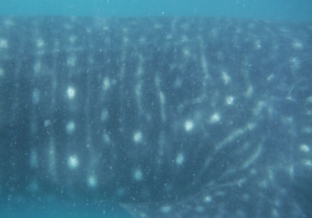 d8fb07d1-16a0-4098-8f59-50c7d7bbf930