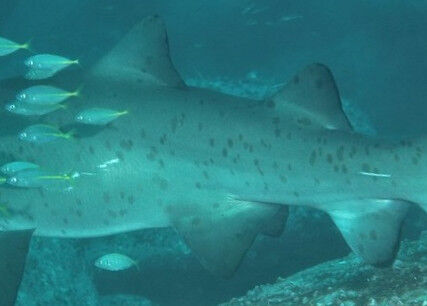 655ab7e6-aec8-428e-bf8e-64723fba3e52