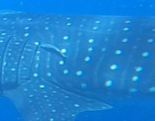 a964ac4c-6ec3-4916-93ec-b4bc49b03fa5