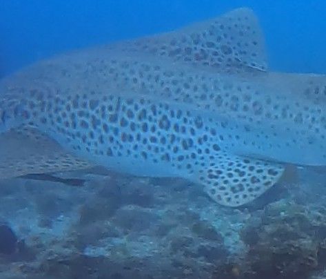 c6fd5142-1f55-4509-9536-7e96516519b8