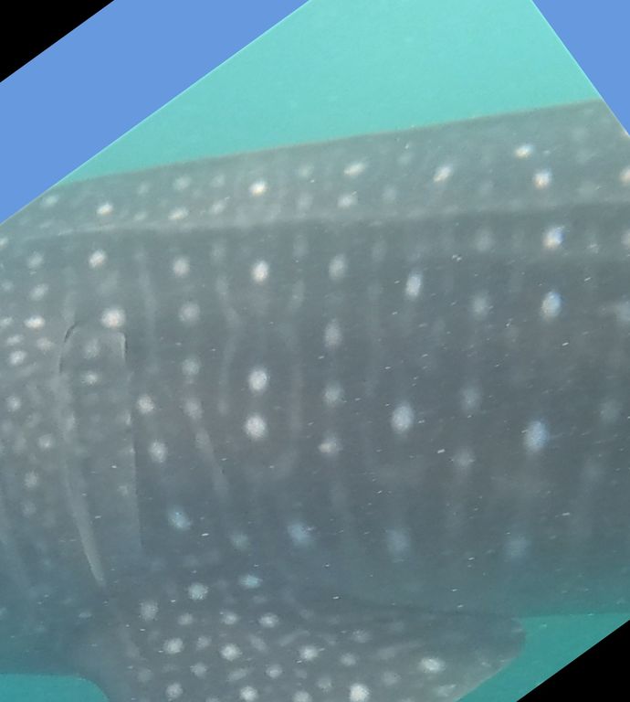 19591ea3-d2ed-42b5-9f14-cd35de736167