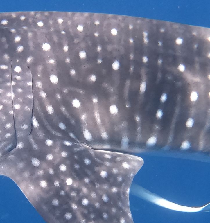 1e3b35f1-9651-4354-aa9b-cee4bcbc1da6