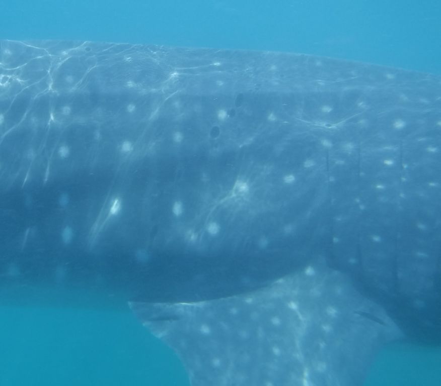 d2fad0fb-e318-4f88-a017-bc27af8b696b