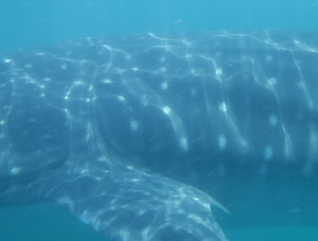 d2fad0fb-e318-4f88-a017-bc27af8b696b