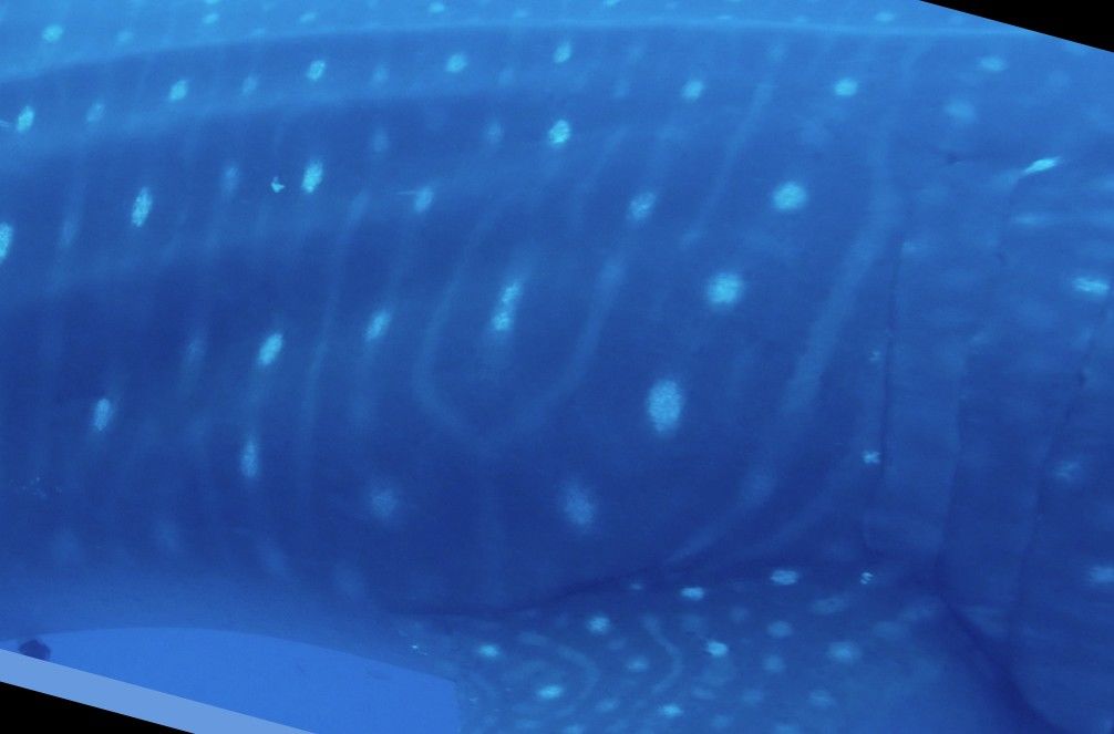 1e8c711f-87c7-428e-b403-517053672e45