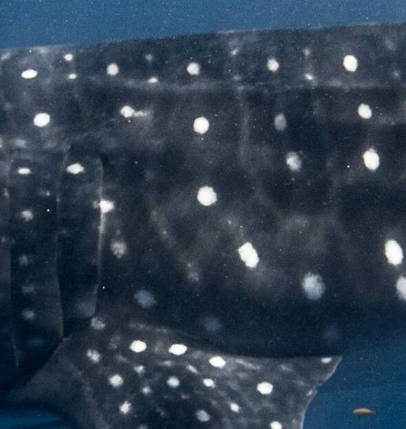 232c8b4a-fdc8-49d6-af19-461bbcc30deb