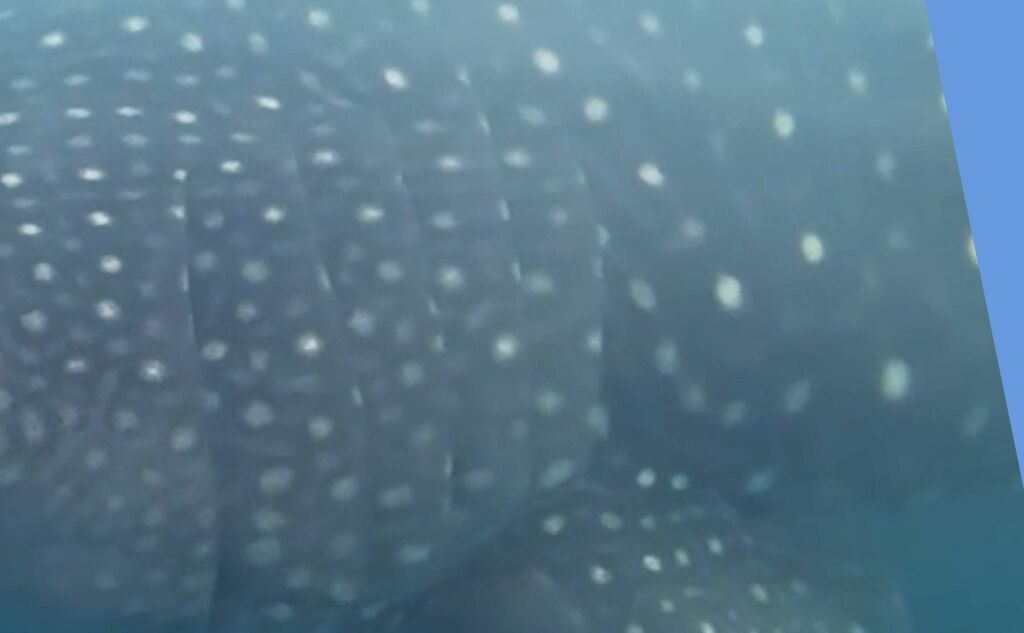 016df185-6ee2-4054-82a2-e1f0a93c2844