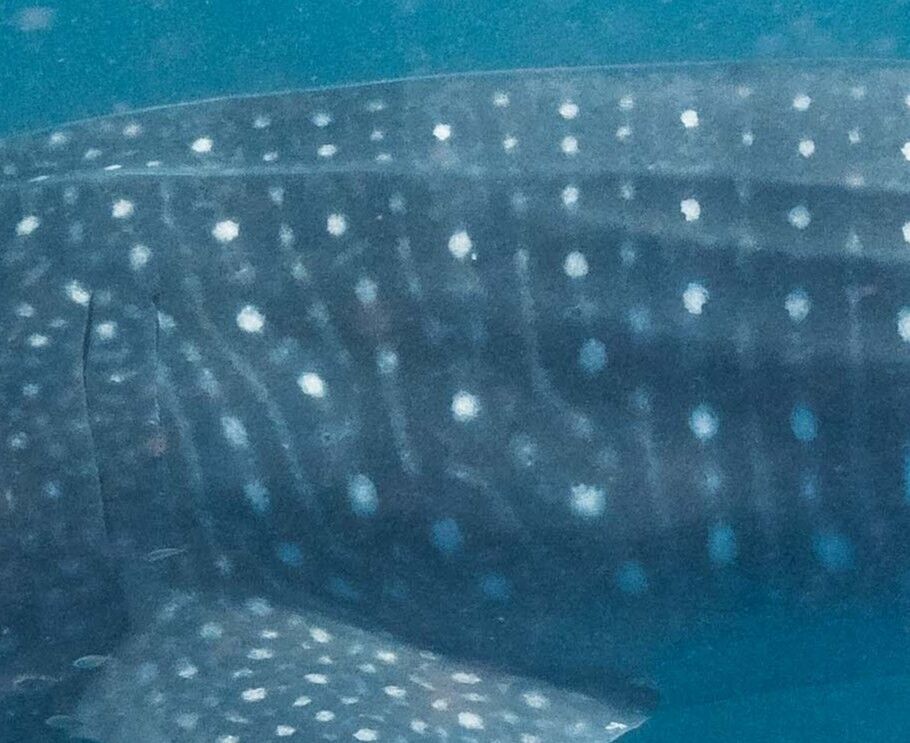 3d53132d-00e1-41da-ac9e-1096da0b87ed