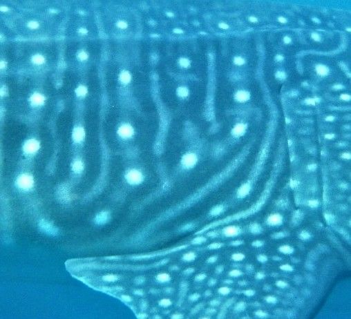 4ea708e4-4936-4e6b-ad28-968820f4181d