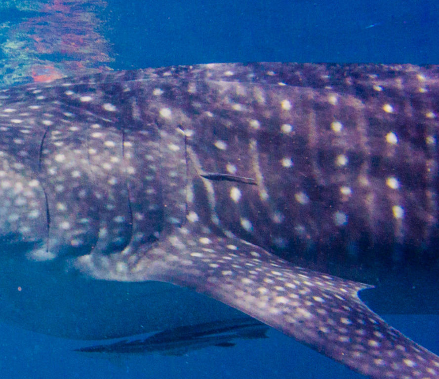 200a472f-c9cf-4716-9825-16eafc7726b8