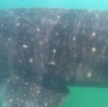 23efbdf9-ab4c-430e-a52a-44b4ba065ad9