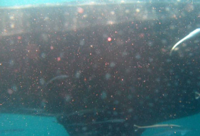 0dece99f-69d6-4734-b1c1-977248d57bab