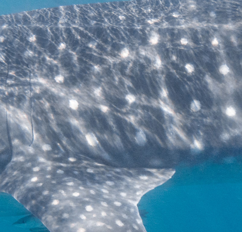 9daddff9-ae70-42d6-9dfa-dd2610761dc3