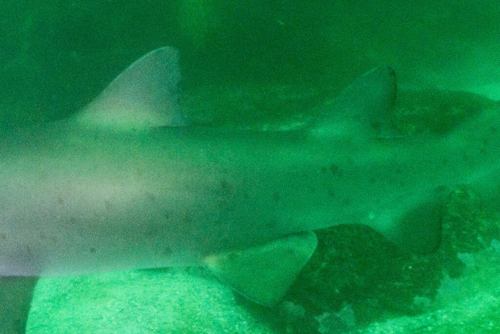 6bb48e3e-df69-429c-b41c-0d8277729d98