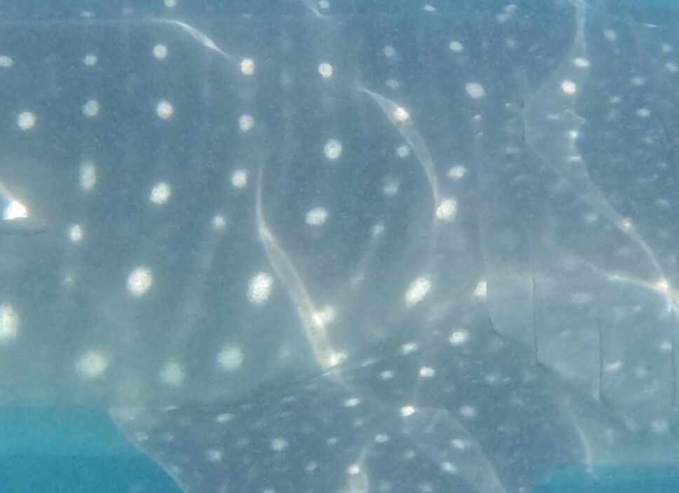 a13c8463-4597-4d5d-a5ed-f7c3ac5ff982