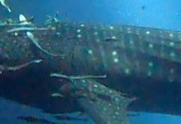 1366b1e3-191c-4dfb-a796-f6d56863c082