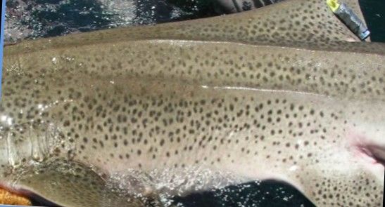 c5ffd783-9813-4786-9785-111f346aa5a6