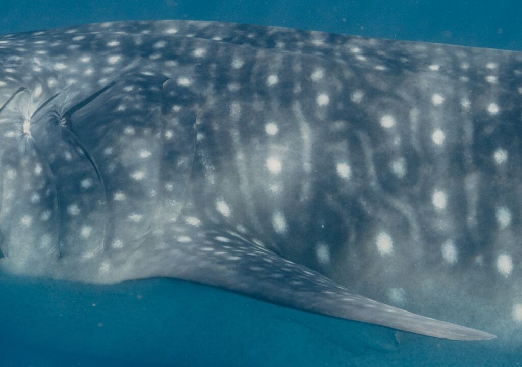 ac9d75b5-98e3-4421-81d5-1bcd0f9c9390