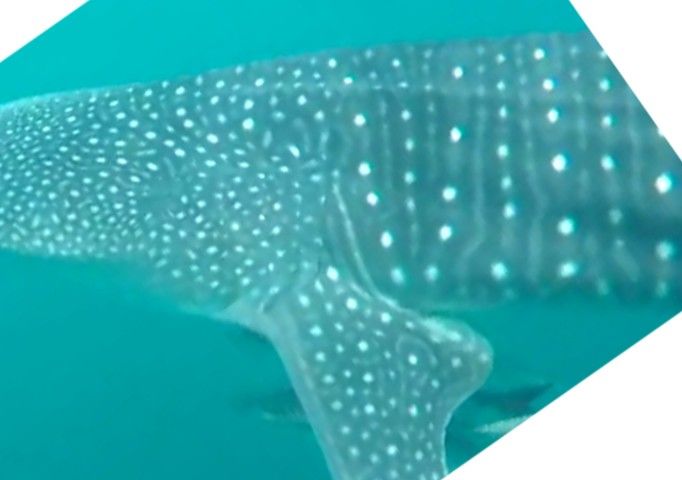 c610f3a2-ff05-44fb-bfcd-e90942b2a3e5