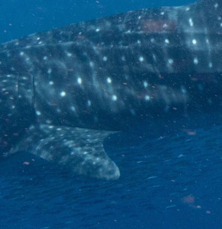 6ae03a9d-d5d1-4cfd-9db0-0521229a4b3e