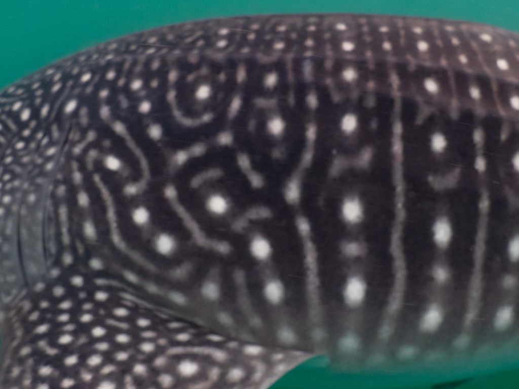 996b9b12-b82a-432c-ab23-5bd51b59f705