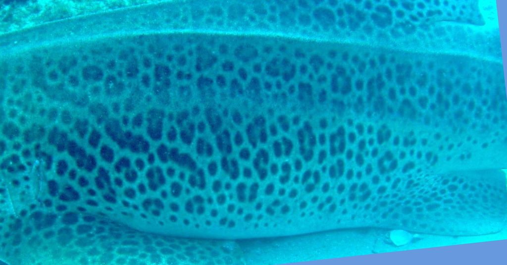 02da0b4d-3e82-4687-a51f-909fd5aa8e3c