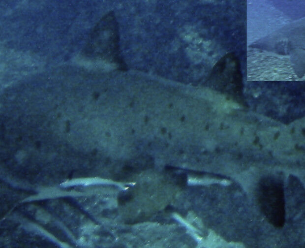 64cb8d3b-e10b-40c8-83f8-1829a5bf5882