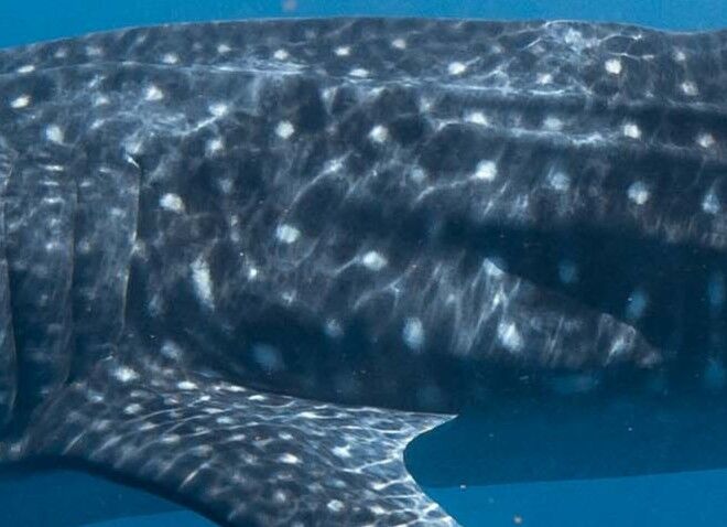 9ab0e922-8a36-4ce2-ac64-d867e36c9bb2