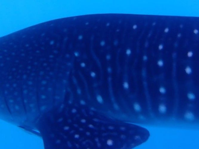 d4f9daa5-a1bb-482d-aa7e-563797f7bcdb