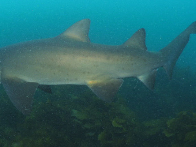 0db0d8ce-1f9a-4563-bd61-f446e8d00543