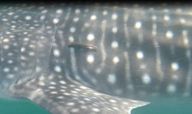 7a559ab0-12ae-4d6b-b1cd-fd4cc8fae848